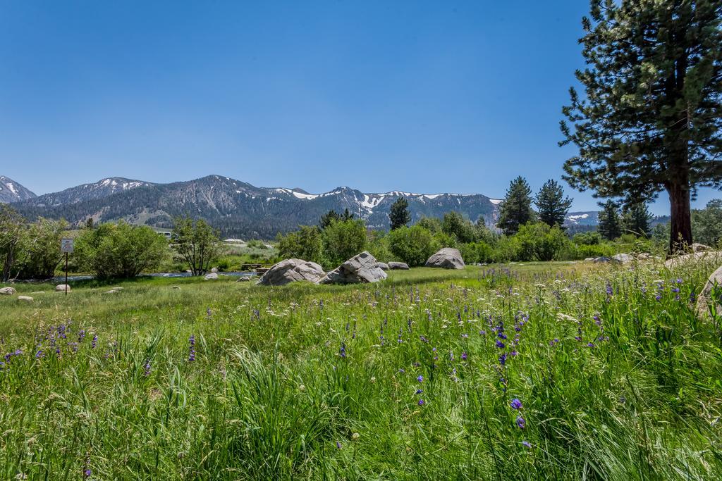 Mammoth Creek Condos Маммот-Лейкс Екстер'єр фото